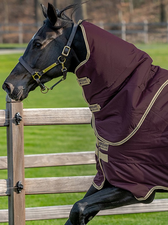 Regendeken Hero Ripstop Plus Lite Fig | Ooteman Paardensport