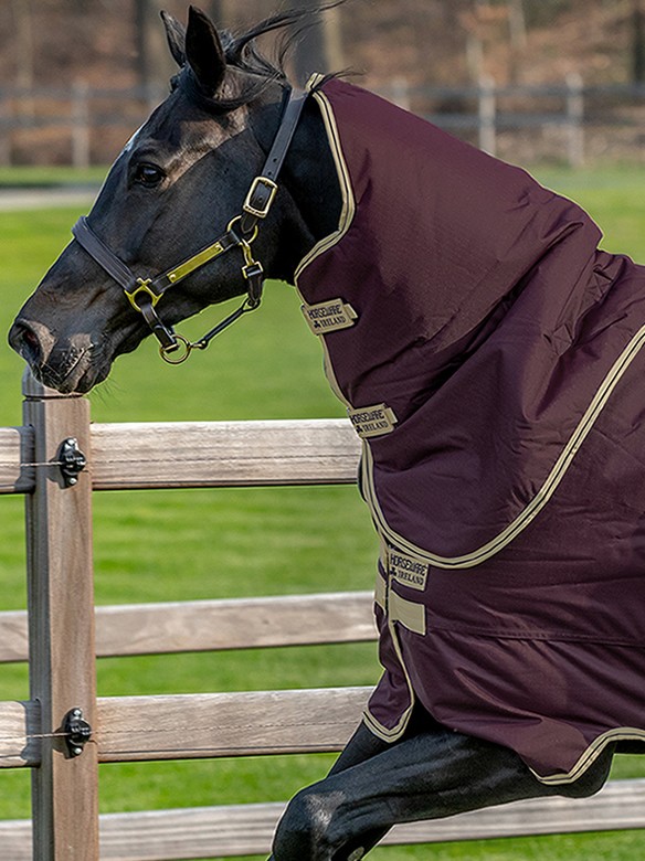 Zeker invoeren erts Amigo Regendeken Hero Ripstop Plus Lite 100 Fig | Ooteman Paardensport