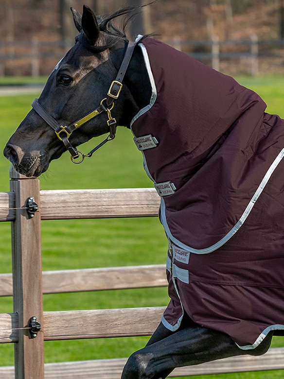 Winterdeken Hero Ripstop Plus Medium Fig | Ooteman Paardensport