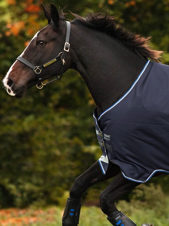 kassa ader grote Oceaan Amigo Winterdeken Bravo 12 Original Medium Navy | Ooteman Paardensport