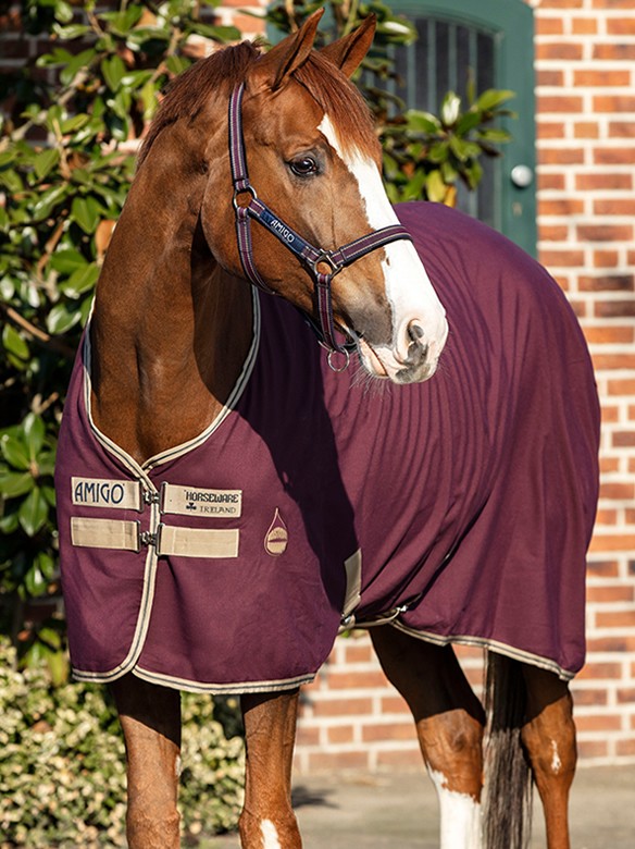 Rusteloos ornament Vermenigvuldiging Amigo Zomerdeken Stable Fig | Ooteman Paardensport