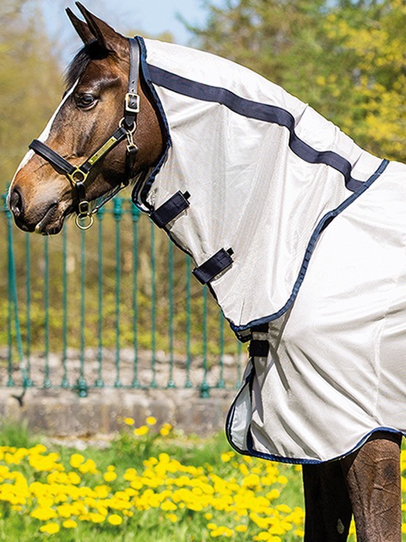 Ooteman Paardensport