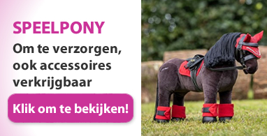 Ooteman Paardensport