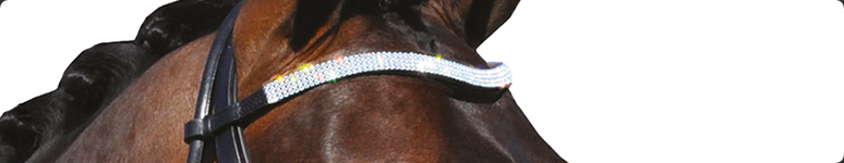Frontriemen (Swarovski)