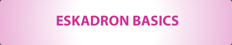 Eskadron Basics